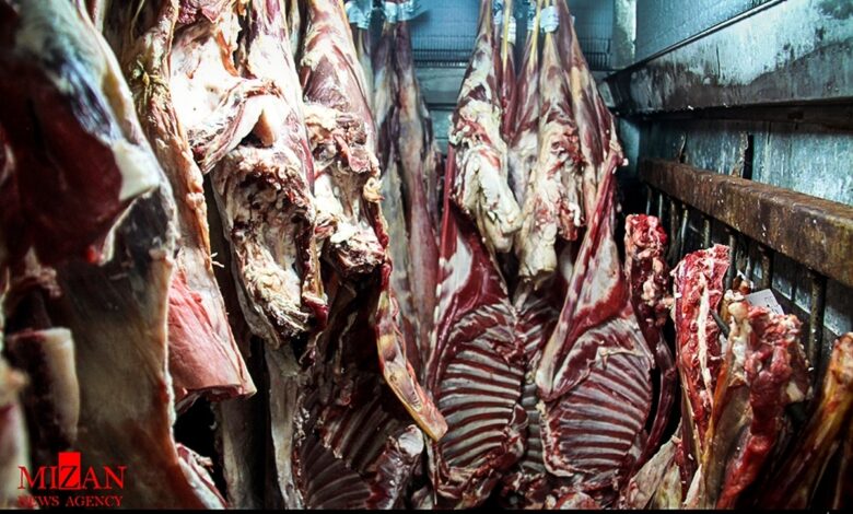 وضعیت مطلوب ذخایر گوشت در کشور؛ بازار دارای ثبات و عرضه پایدار است
