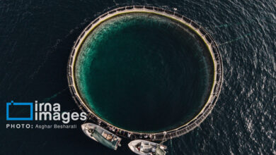 پرورش ماهی در قفس