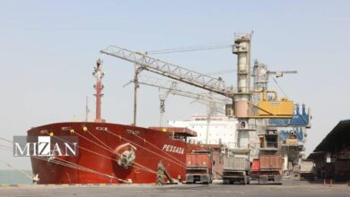 پهلوگیری پنجمین کشتی حامل گندم در بندر امام خمینی (ره) طی سال جاری