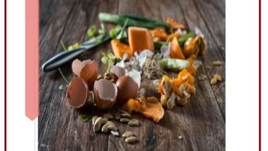 کتابچه «راهکارهای ساده کاهش دورریز مواد غذایی در منزل» منتشر شد