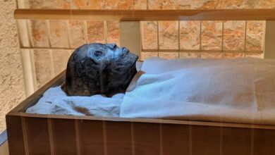 کپک قارچی قاتل دانشمندان در مقبره‌های باستانی، ناجی بیماران سرطانی می‌شود