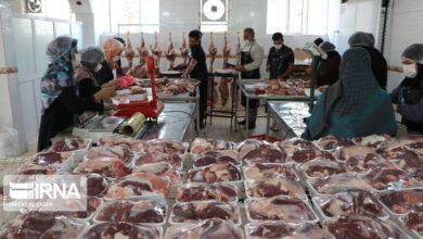 ۲ هزار بسته گوشت قربانی میان نیازمندان خوزستان توزیع شد