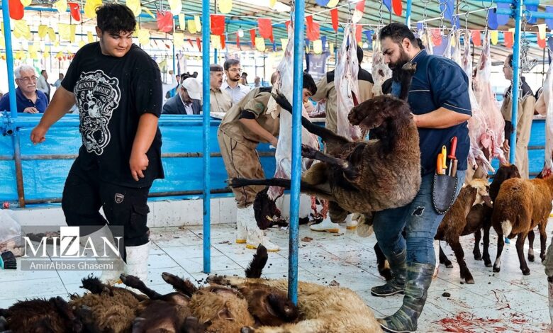 ۷ توصیه دامپزشکی برای رعایت اصول بهداشتی قربانی