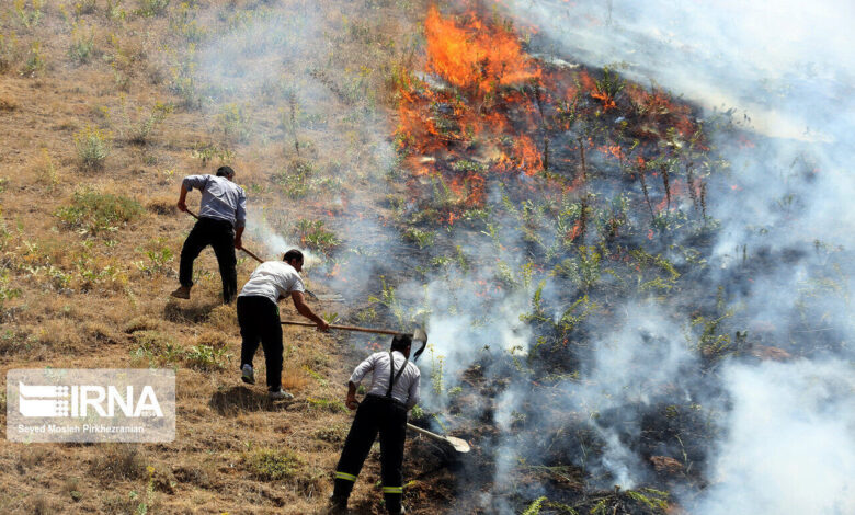 آماده‌باش ستاد مدیریت بحران در مازندران؛ آتش‌سوزی در کمین جنگل‌های شمال