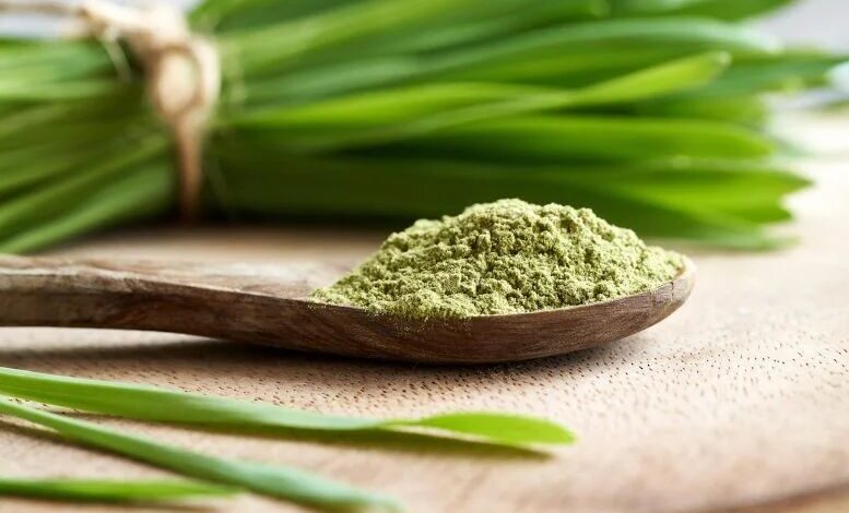 اثبات خواص افزایش طول عمر و ضد پیری جوانه گندم