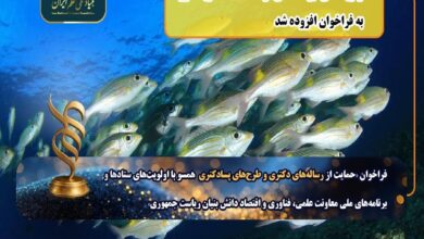 اولویت‌ برنامه ملی توسعه اقتصاد دریامحور به فراخوان رساله دکتری و پسادکتری اضافه شد