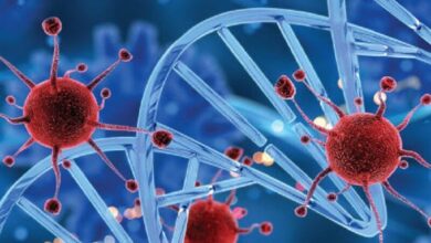 ۱۸۹ مقاله به دومین همایش بینالمللی سرطان در زنجان ارسال شد