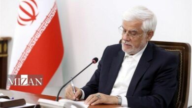 تاکید عارف بر عدم افزایش قیمت مایحتاج روزانه مردم از جمله اقلام خوراکی