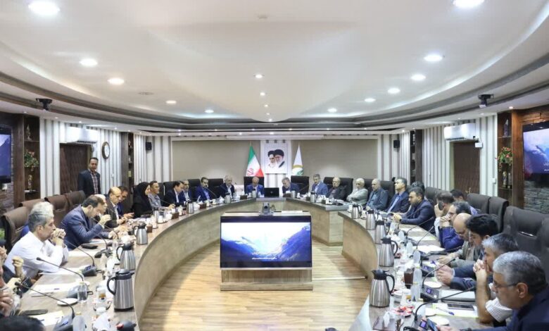 تنوع‌بخشی و کیفیت دستاورد مهم طرح الگوی نوین تغذیه دانشجویی است