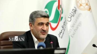 توضیحات رئیس سازمان بورس و اوراق بهادار در مورد تداوم حمایتها از بازار سرمایه