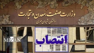 دبیر ستاد تسهیل و رفع موانع تولید کشور منصوب شد