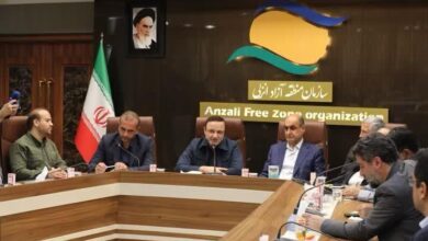 دبیر شورایعالی مناطق آزاد بر حمایت از آسیب دیدگان آتش سوزی ونوس تاکید کرد