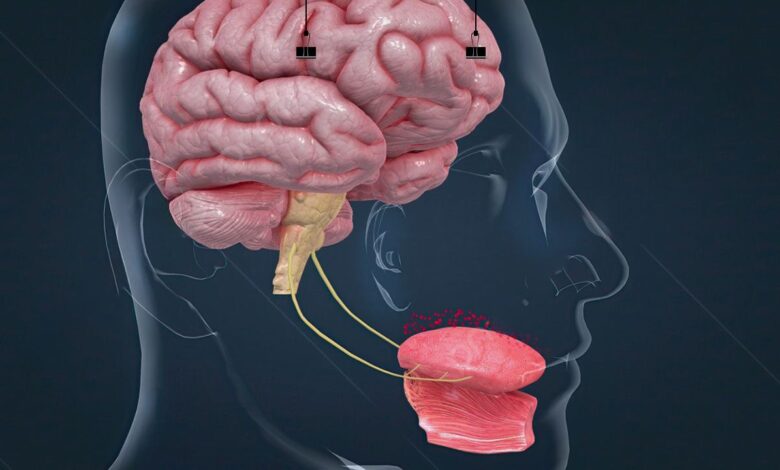 دقت بالای زبان مصنوعی در تشخیص مزه‌ها