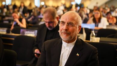 رئیس مجلس: جنایت ددمنشانه رژیم صهیونیستی علیه غزه و کشورمان را برای دنیا تبیین کردیم