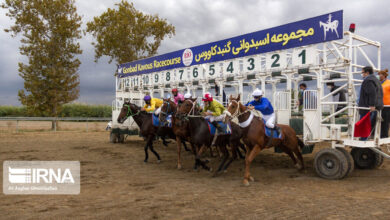 رقابت ۵۰ اسب در روز دوم کورس اسبدوانی بندرترکمن
