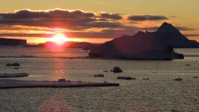 رویداد غیرمنتظره در اقیانوس منجمد جنوبی: کاهش یخ‌ها و افزایش شوری آب‌های سطحی