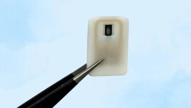 ساخت دستگاه کاشتنی برای محافظت مبتلایان به دیابت