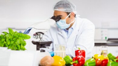 ساخت نانوحسگری که سلامت غذا را در ۱۵ دقیقه آزمایش می‌کند