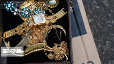 سرقت سریالی در کرمان و دستگیری سارقان در تهران