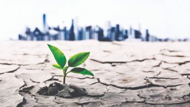 سه‌گانه نجات منابع آبی؛ آمایش صنعتی، بازار محلی آب و کشاورزی سازگار