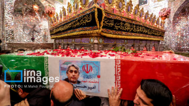 شهید فقهی اگر می‌ماند، شاهد ثمرات بسیارش بودیم