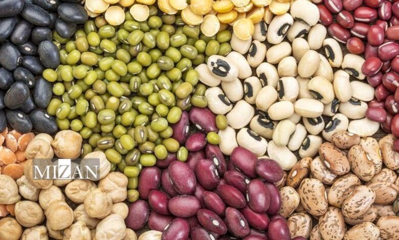 صادرات حبوبات تا اطلاع ثانوی ممنوع شد
