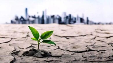 طرح‌های تامین آب مشهد نیازمند ۵۷ هزار و ۶۰۰ میلیارد ریال اعتبار است