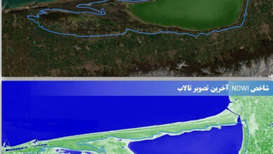 لزوم حفظ مسیرهای آبی تالاب میانکاله در چارچوب ضوابط زیست‌محیطی