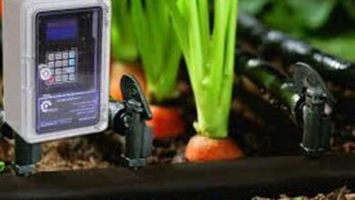 معاون استاندار کرمانشاه: اجرای آبیاری هوشمند، ضرورتی مهم برای مهار بحران آب است