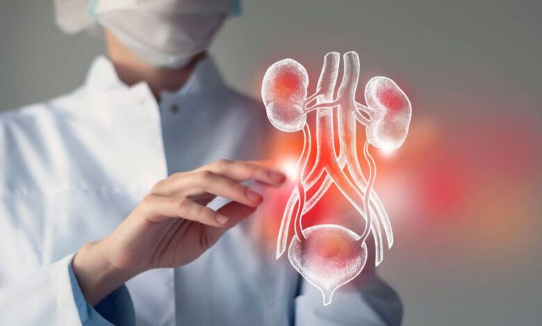 نانو پلتفرم چسبنده به مخاط، تصویربرداری از تومور مثانه را دقیقتر میکند