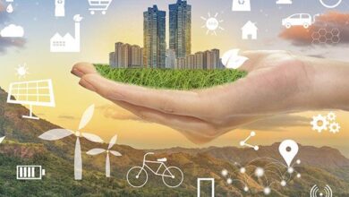 نشانِ وزارت علوم برای دانشگاه‌ها؛ مسئولیت اجتماعی در کانون توجه آموزش عالی 