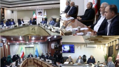 هفته‌ای پرتحرک در آموزش عالی؛ نشست‌های راهبردی در هفته پایانی تیرماه