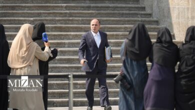 وزیر جهاد: قیمت برنج داخلی متعادل شود