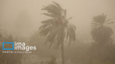 کارشناس هواشناسی یزد: منتظر تندباد و گرد و خاک باشید