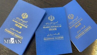 کاهش هزینه گذرنامه زیارتی به ۱۱۵ هزار تومان/ امکان تسویه سریع و برخط درخواستهای اتباع برای حضور در مراسم اربعین