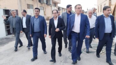 گام‌های اقتصادی فارس از پشت میز تا خط تولید