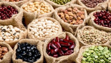 آیا مصرف حبوبات فشار خون را بالا می‌برد؟
