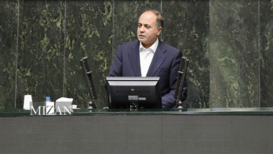 افزایش تولید محصولات کشاورزی ناشی از افزایش بهره‌وری بر اساس الگوی کشت است/ همکاری کشاورزان با وزارتخانه برای اجرای طرح‌های کشاورزی