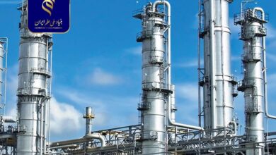 بررسی رفتار سینی سانتریفیوژ در ظرفیت‌های بالای عملیاتی