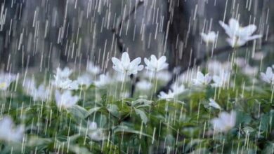 تداوم ناپایداری های جوی مازندران تا اوایل هفته آینده