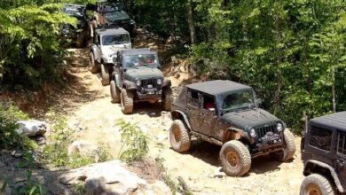 تیرخلاص آفرودسواران بر قلب هیرکانی