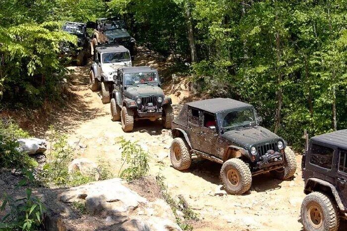 تیرخلاص آفرودسواران بر قلب هیرکانی