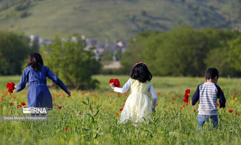 جمعیت در سایه بی‌اعتمادی جوان نمی‌شود