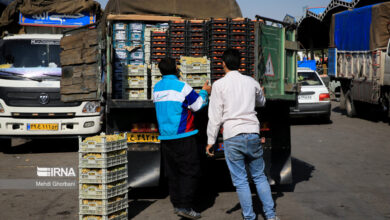 حاجی بابایی خواستار تسریع در اجرای عملیات احداث میدان میوه و ترهبار همدان شد