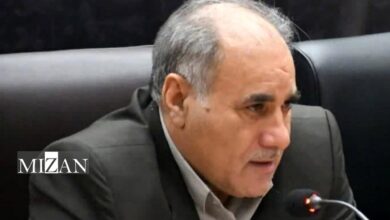 حمایت عضو کمیسیون کشاورزی مجلس از برخورد قوه قضاییه با محتکران برنج