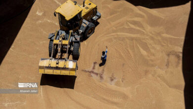 درخواست گلستان از دولت: اصلاح قیمت گندم و تحول در مدیریت آب