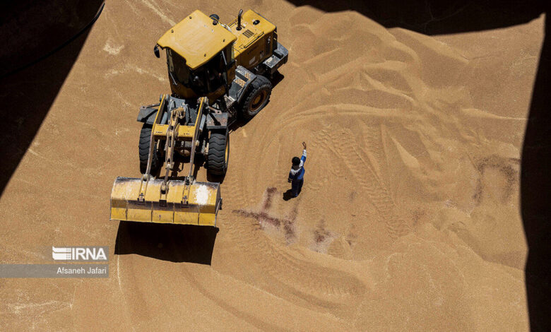 درخواست گلستان از دولت: اصلاح قیمت گندم و تحول در مدیریت آب