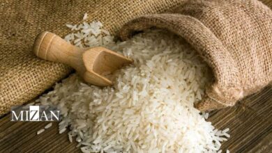 دلایل گرانی برنج پاکستانی در بازار؛ از سهم پایین واردات و افزایش قیمت تمام‌شده تا قاطی‌کردن با برنج ایرانی