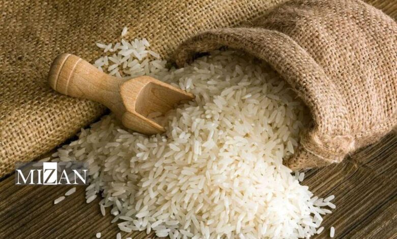 دلایل گرانی برنج پاکستانی در بازار؛ از سهم پایین واردات و افزایش قیمت تمامشده تا قاطیکردن با برنج ایرانی