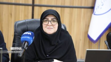 سخنگوی دولت: اقتصاد مرزها تضمین‌کننده امنیت پایدار کشور است